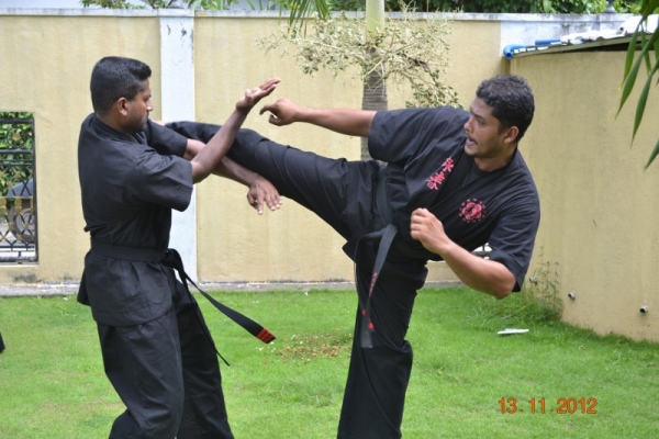 dsc-2720-800x533D518AED6-BFD8-2BCE-EB65-6CB0116D22CF.jpg