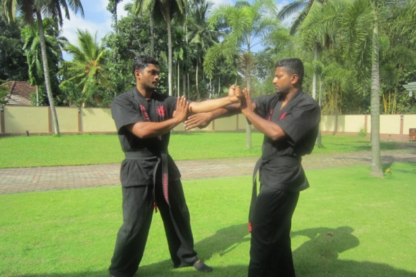 img-1454-800x600E4E7D7DB-6C6A-C90A-4727-A92F031E7495.jpg