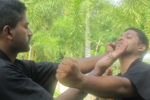 img-1463-800x600B99F7007-5EB1-D79A-461F-AE82CB904246.jpg