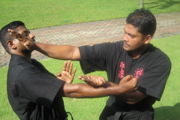 img-1471-800x600D386BFB0-9DA3-B139-0C6B-84F5D160CB16.jpg