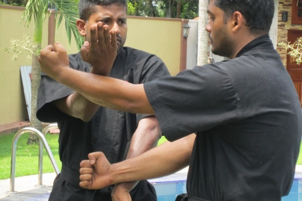 img-1684-800x600D482382B-748D-9CAD-C179-B3C5732BDA38.jpg