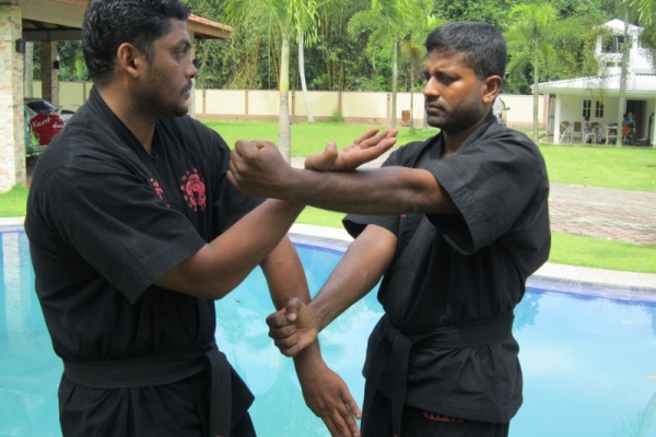img-1686-800x6000A1B53B6-8045-DA74-1CE7-0B6DC215E358.jpg