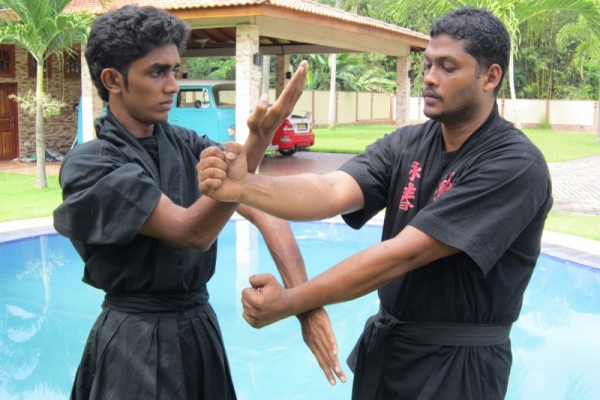 img-1689-800x6004205430F-E9E1-6ED0-905E-34CE35F27A0C.jpg