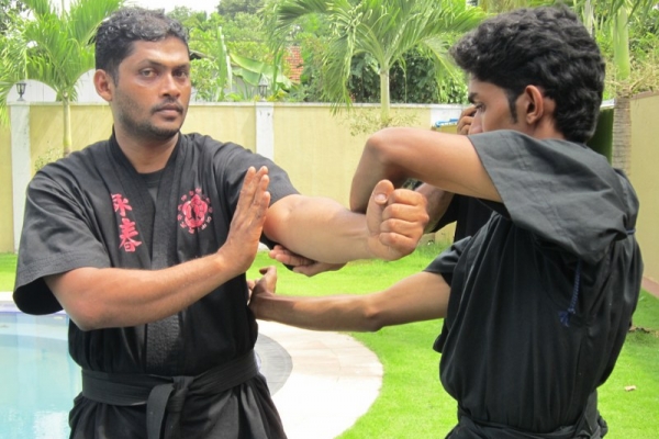 img-1695-800x6000E705D68-7139-0832-5CBF-2EBF193B50D5.jpg