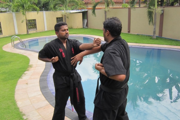 img-1722-800x600477E15EF-ABF8-ABD1-8837-FE7ED8C19D1F.jpg