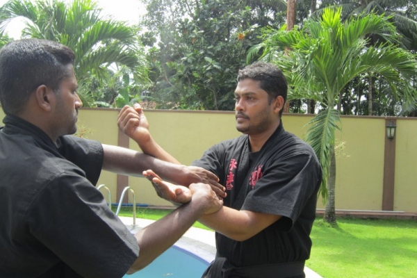 img-1735-800x600542FB4CF-E47E-F047-71F7-8483AC9DEA3C.jpg